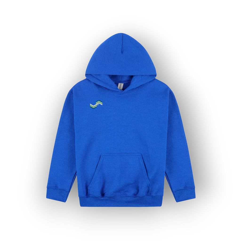A bright blue pullover hoodie with a small green and blue wave graphic on the left chest, displayed against a clean white background.